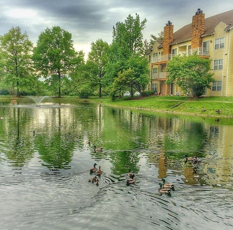 Winchester Place Apartments, 100 Winchester Place, Fairview Heights, IL